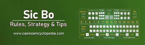 sic bo tips|Sic Bo Strategy: Rules & Tips for Winning .